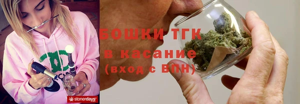 крисы Армянск
