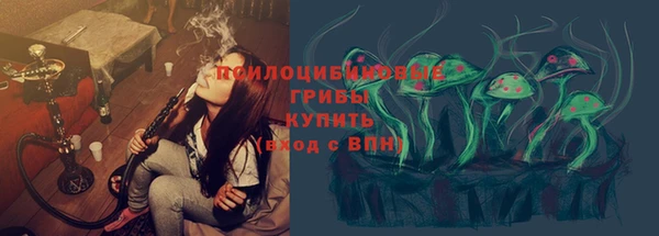 прущий лед Арсеньев