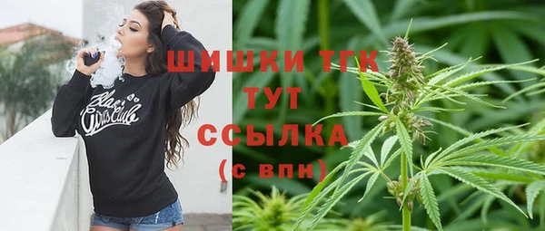 крисы Армянск