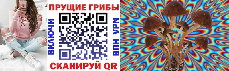 Галлюциногенные грибы мицелий  Купить где  Сальск 